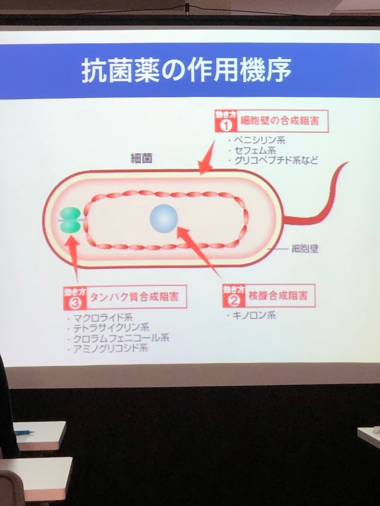 作用機序